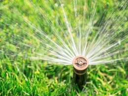 Adjustable spray sprinkler